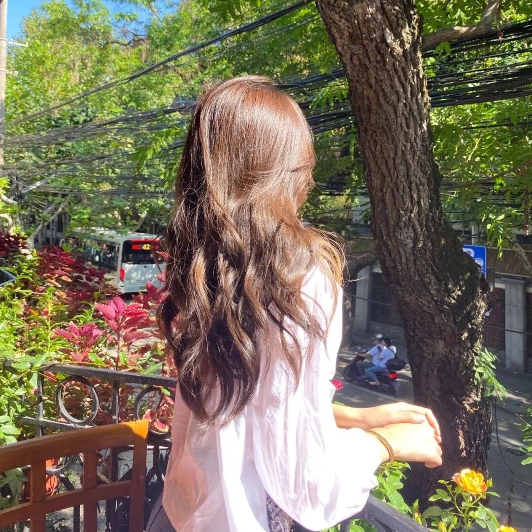 了不起的埃莉诺